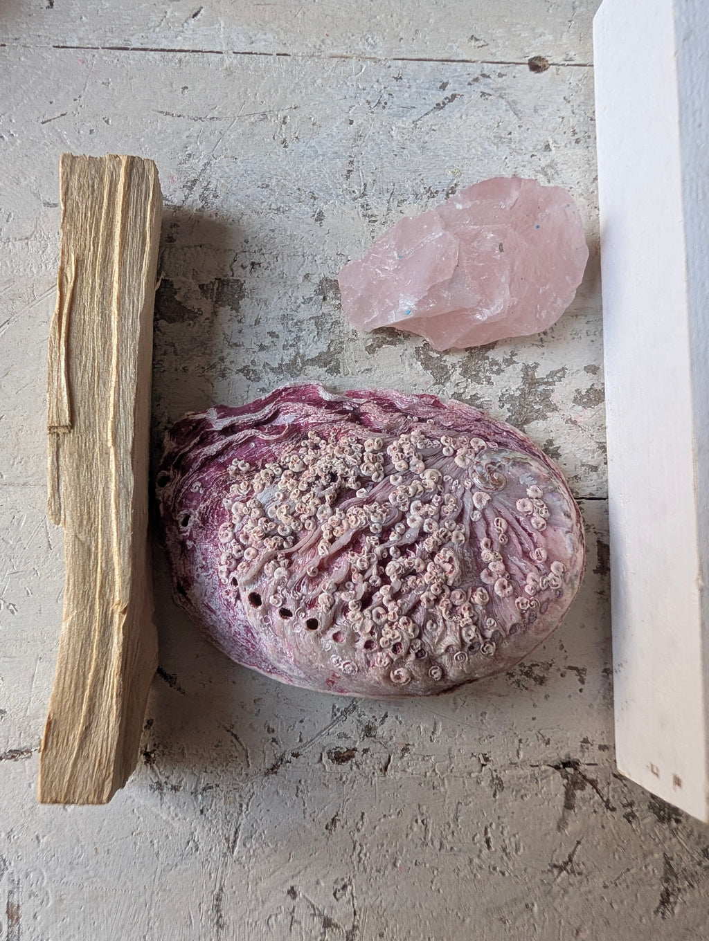 Abalone Muschel mit schillerndem Perlmutt, roher Rosenquarz und Palo Santo Stick – Bestandteile des ANILUAP Altar Sets